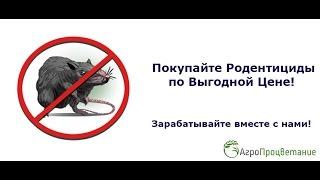 Купить Родентициды Оптом Украина. Цены от Производителя!