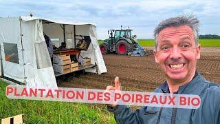 Enfin on plante les poireaux ! Et plus encore 