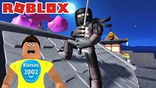 ROBLOX NINJA TRAINING OBBY ! || Roblox Gameplay || Konas2002