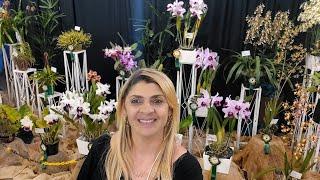 Área de Exposição  - 58ª Exposição de Orquídeas em São Bernardo do Campo-SP