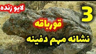 3 نشانه مهم دفینه قورباقه