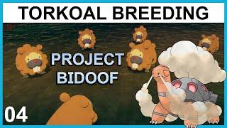 Breeding a Sun Team Torkoal - Project Bidoof Part 4 - Pokemon Breeding Guide