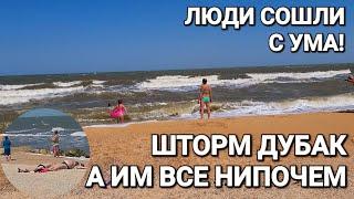 В #Голубицкая дубак. 24.05.2024 г.Купаться нельзя в Азовском море! Золотая Рыбка и Синдром Аспергера