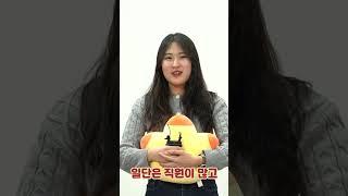 MZ들이 말하는 화성시 공무원의 장점은?! #shorts