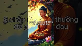 8.Chấp nhận vô thường|Vi Pháp Diệu Âm #trietlycuocsong #loiphatday #phatphap #thichminhtue #tudieude