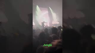 Fred Again - Jungle (Berlin 27.11.2022)