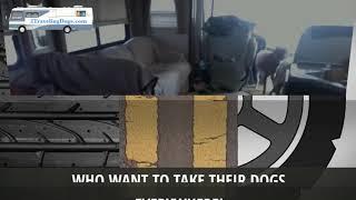Should I Travel With My Dog In An RV?