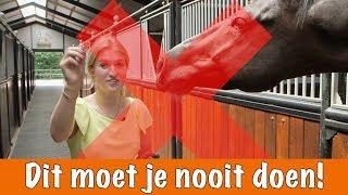 Doe dit NOOIT!! | PaardenpraatTV