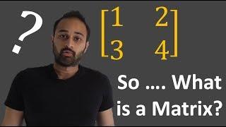 So ... What Actually is a Matrix ? : Data Science Basics