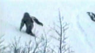 The Snow Walker Footage ENHANCED VERSION Jeff Meldrum, Bigfoot, Sasquatch, Yeti Nepal