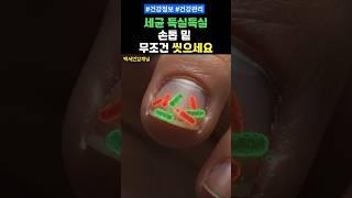 세균 득실득실 손톱 밑 무조건 씻으세요 #건강 #건강정보