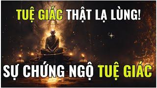 TĨNH LẶNG NỘI TÂM NGHE PHÁP THOẠI VỀ SỰ CHỨNG NGỘ TUỆ GIÁC (P9) - THIỀN SƯ AJHAN BRAHM