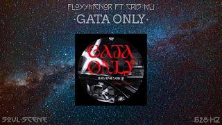 FloyyMenor FT Cris MJ - GATA ONLY (528 Hz // Healing Frequency)