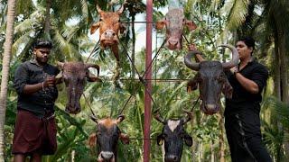 Whole Beef Head Grilled | 6 Beef Head On Giant Wheel | Buffalo Head Roast |