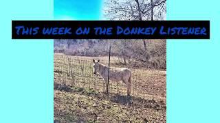 Training Donkeys, Driving Donkeys and Feeding Donkeys