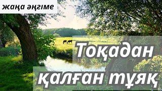 ТОҚАДАН ҚАЛҒАН ТҰЯҚ | ӘҢГІМЕ