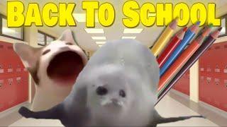 Bouncing Seals Back To School!