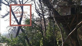 허클베리의 오두막집 Tree hut house(4. Jan. 2022)