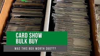 Dollar Box Bulk Buy, Was This Box Worth It? Hobby Evolution Episode 609