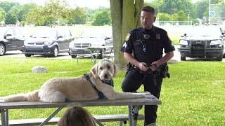 Livonia Community Heroes Storytime - Police Therapy Dog