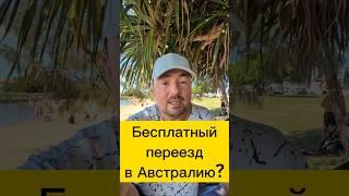 Бесплатный переезд Где подвох? #австралия #иммиграция #интереснаяавстралия #релокация #путешествия