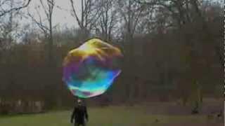Inherited Traits Project: Bubble Boy Syndrome
