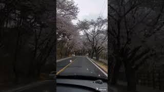 #Beautiful Sunday. #금강산도 식후경.일요일. #love