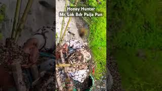 Honey Lover #madhoney #delicious #myagdi #shikha #swanta #village