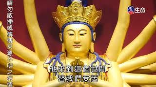 Master Haitao Lecture on Rescuing of All Living Beings_Eternal practice o..._(lifetv_20211114_00:00)