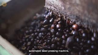 A Modern Kernel Crushing Plant (KCP) Balikpapan l Episode 2