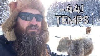 Surviving off Grid in dangerous Temps | not for weekend warriors!