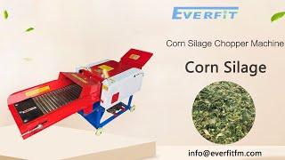 Corn Silage Chopper Machine：make the silage feed for cattle, horses, sheep, rabbits, etc.