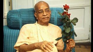 Kṛṣṇa Conscious Q&A session with Nimāi Nitāi dāsa