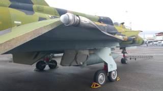 Saab Viggen Walkaround