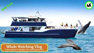 Amazing! Whale Watching NYC New York #nyc #whale #whales #whalewatching #whalewatch