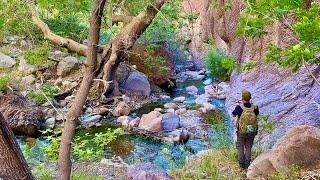 A Stunningly Scenic Hike Up a Canyon Creek