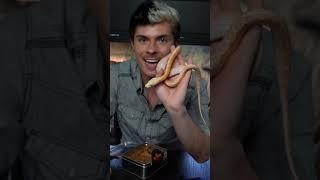 Unboxing a dwarf reticulated python!