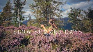 Quiet Summer Days ️| Harvesting Wild Blackberries | Slow Living | Silent vlog #29