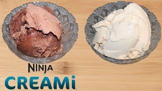 Two Low Calorie Ninja Creami Recipes: Peanut Butter Dessert & Fairlife Dessert Review