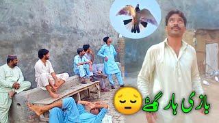 Bazi Haar Gay  | Babar Pigeons Club