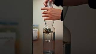 Лучший зеленый чай завариваю только так! Идеальный рецепт для максимума вкуса #чаёк #китайскийчай
