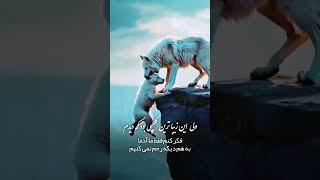 #انسان هم آرزوست