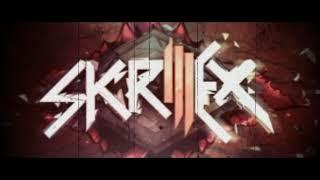 Skrillex - DUPSTEP(remix)