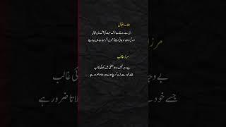 Mirza Ghalib Poetry ️#urdupoetry #ghalibpoetry #alamaiqbalpoetry #poetry