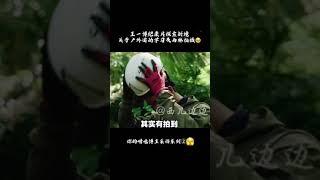 探索新境  寻找  王一博  我们家出息了的  边边  采访制作团队 2