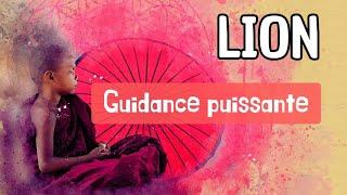  LION ~ TEL UN CRAPEAU ATTENDS LA PROIE MAIS IGNORES LA POUR TA REUSSITE PHÉNOMÉNALE #tarot #leo