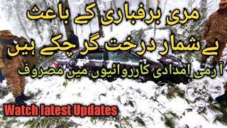 Murree heavy Snowfall Uprooted Trees| Army busy in Rescue Operation | Latest Updates