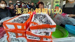 溪湖小辣椒️海鮮叫賣 彰化縣溪湖鎮忠溪路386號往前200公尺1130