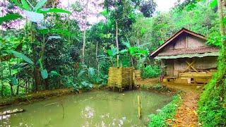 Takjub  Kampung Indah Di Tebing Gunung, Rumahnya Cantik Cantik, Warganya Ramah |Pedesaan Jawa Barat