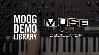 Muse | Mod Oscillator